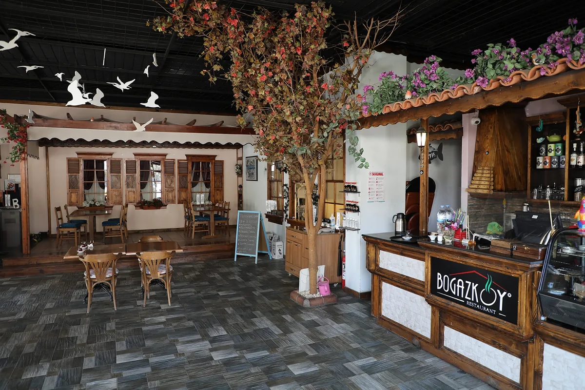 Restoran iç mekan, ağaç ve bougainvillea